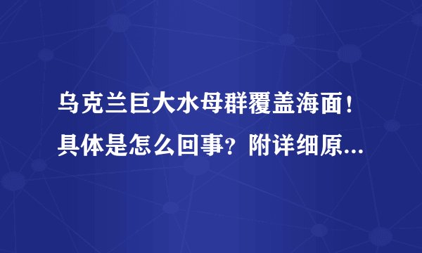 乌克兰巨大水母群覆盖海面!具体是怎么回事?附详细原因! - 飞外网