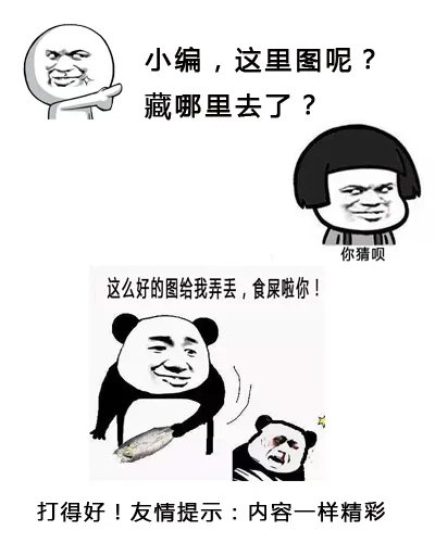 吴雅婷比王栎鑫大几岁 吴雅婷是王栎鑫的老板吗