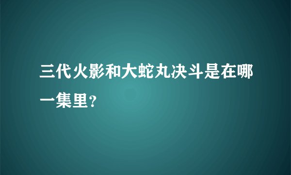 三代火影和大蛇丸决斗是在哪一集里？