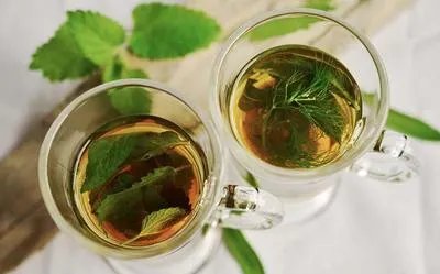 鹿筋海藻茶的功效与作用  这几点不容忽视