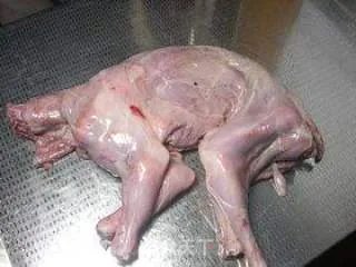 麻辣兔肉