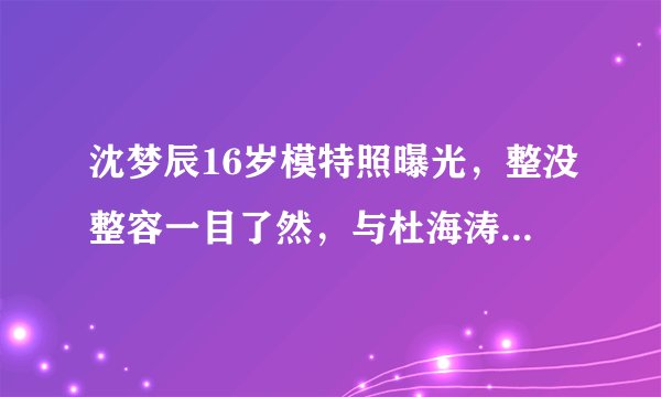 沈梦辰16岁模特照曝光,整没整容一目了然,与杜海涛婚礼再延迟?