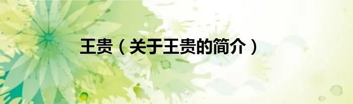 王贵（关于王贵的简介）