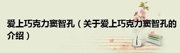 爱上巧克力窦智孔（关于爱上巧克力窦智孔的介绍）