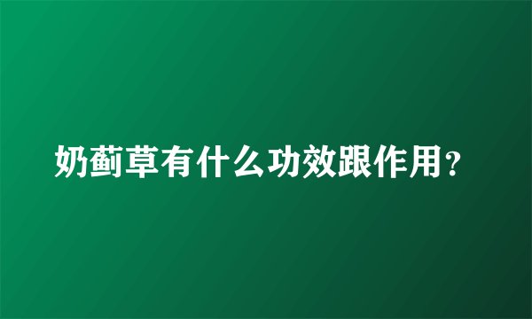 奶蓟草有什么功效跟作用？