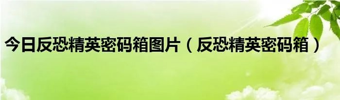 今日反恐精英密码箱图片（反恐精英密码箱）