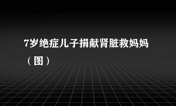 7岁绝症儿子捐献肾脏救妈妈（图）