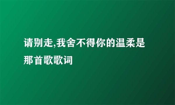 请别走,我舍不得你的温柔是那首歌歌词