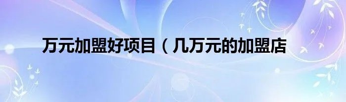 万元加盟好项目（几万元的加盟店