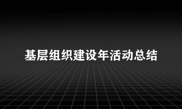 基层组织建设年活动总结