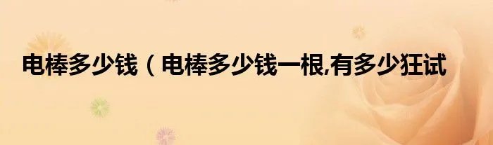 电棒多少钱（电棒多少钱一根,有多少狂试