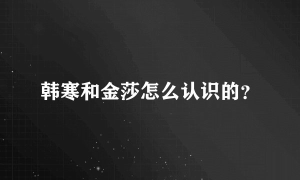 韩寒和金莎怎么认识的？