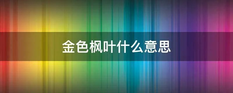 金色枫叶什么意思
