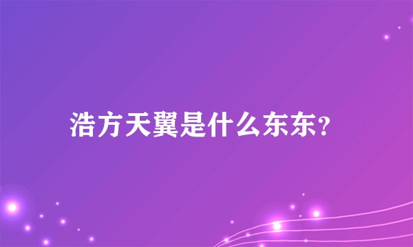 浩方天翼是什么东东？