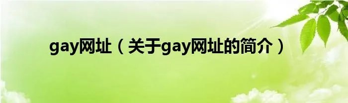 gay网址（关于gay网址的简介）