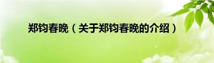郑钧春晚（关于郑钧春晚的介绍）
