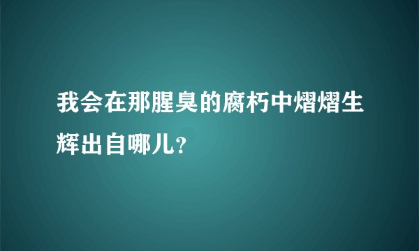 我会在那腥臭的腐朽中熠熠生辉出自哪儿？