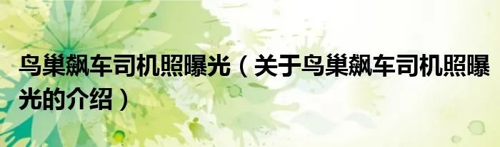 鸟巢飙车司机照曝光（关于鸟巢飙车司机照曝光的介绍）
