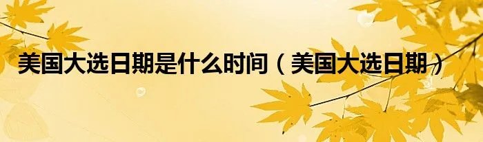 美国大选日期是什么时间（美国大选日期）
