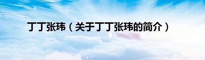 丁丁张玮（关于丁丁张玮的简介）