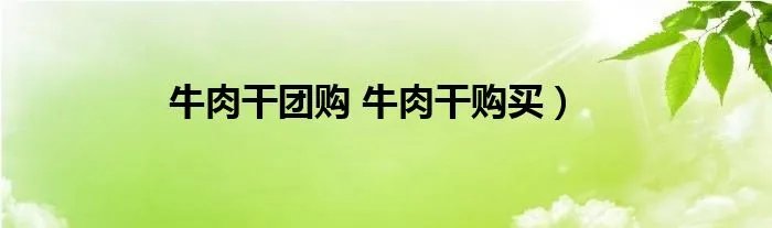 牛肉干团购 牛肉干购买）