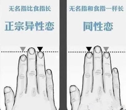 一张图看出你的性取向,男女性取向测试图来测一测