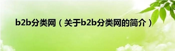 b2b分类网（关于b2b分类网的简介）