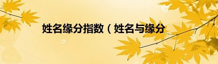 姓名缘分指数（姓名与缘分