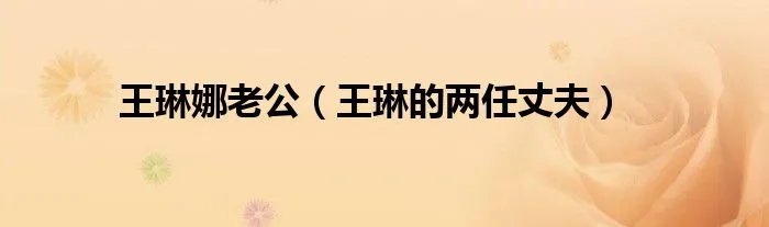 王琳娜老公（王琳的两任丈夫）