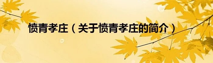 愤青孝庄（关于愤青孝庄的简介）
