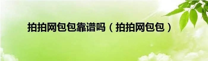 拍拍网包包靠谱吗（拍拍网包包）