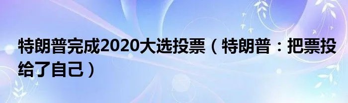 特朗普完成2020大选投票(特朗普:把票投给了自己)