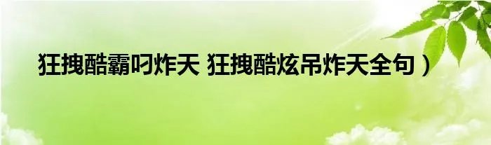 狂拽酷霸叼炸天 狂拽酷炫吊炸天全句）