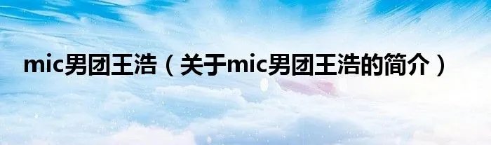 mic男团王浩（关于mic男团王浩的简介）