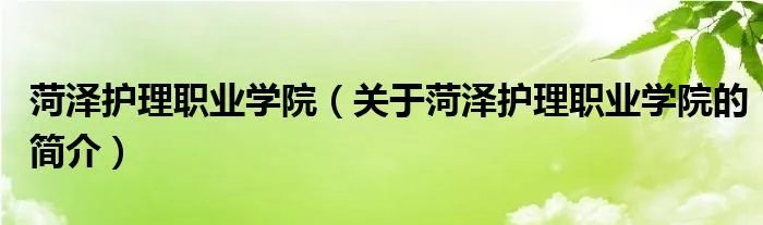 菏泽护理职业学院（关于菏泽护理职业学院的简介）