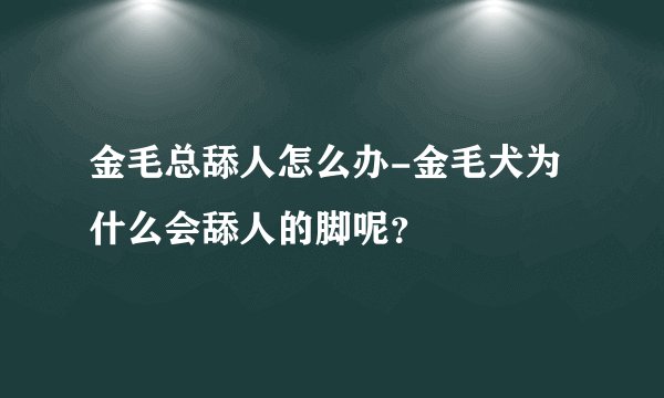 金毛总舔人怎么办-金毛犬为什么会舔人的脚呢？