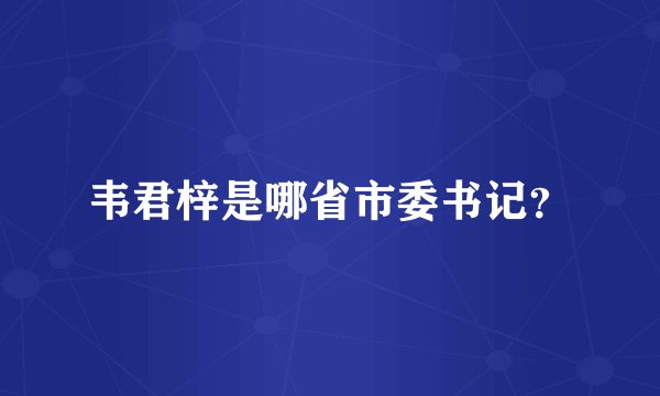 韦君梓是哪省市委书记？