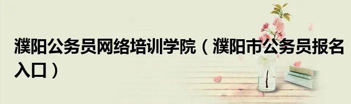 濮阳公务员网络培训学院（濮阳市公务员报名入口）