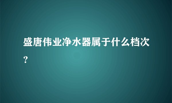 盛唐伟业净水器属于什么档次？