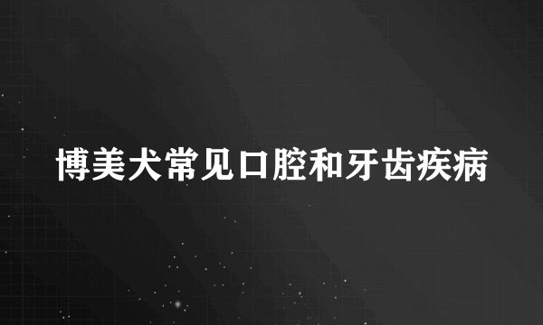 博美犬常见口腔和牙齿疾病