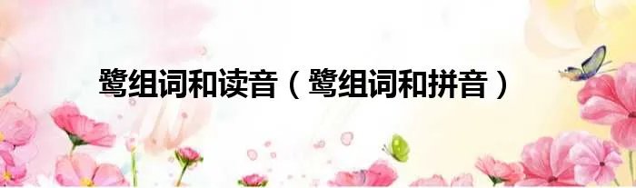 鹭组词和读音（鹭组词和拼音）