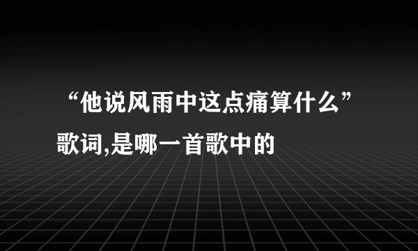 “他说风雨中这点痛算什么”歌词,是哪一首歌中的