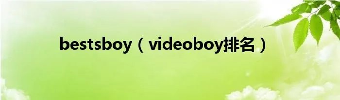 bestsboy(videoboy排名)