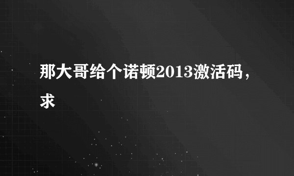 那大哥给个诺顿2013激活码，求
