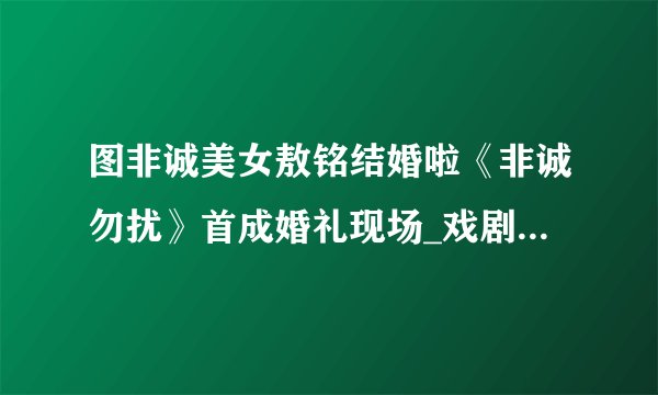 图非诚美女敖铭结婚啦《非诚勿扰》首成婚礼现场_戏剧-飞外网