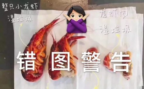 垃圾分类