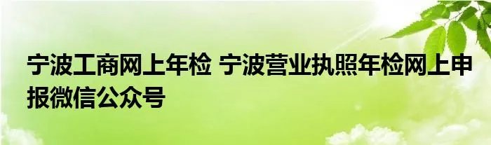 宁波工商网上年检 宁波营业执照年检网上申报微信公众号
