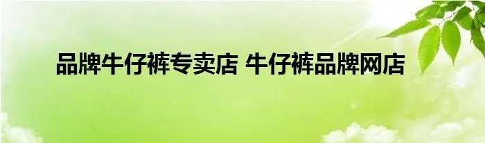 品牌牛仔裤专卖店 牛仔裤品牌网店