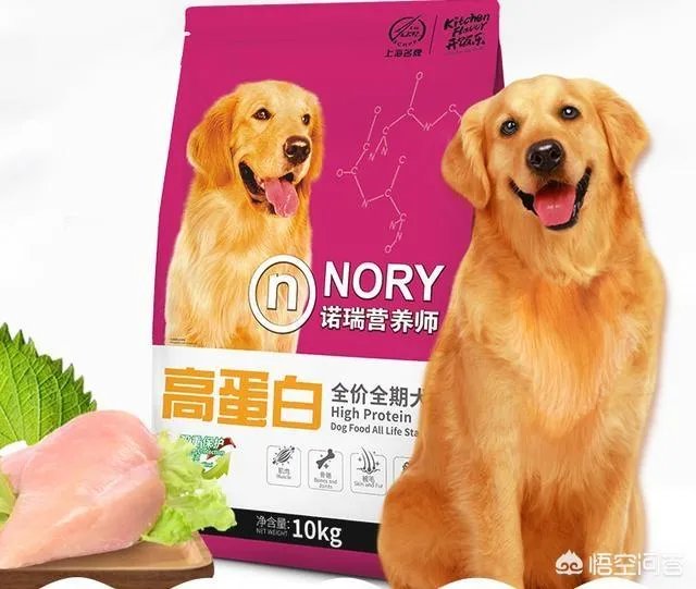 哈士奇吃什么狗粮好？
