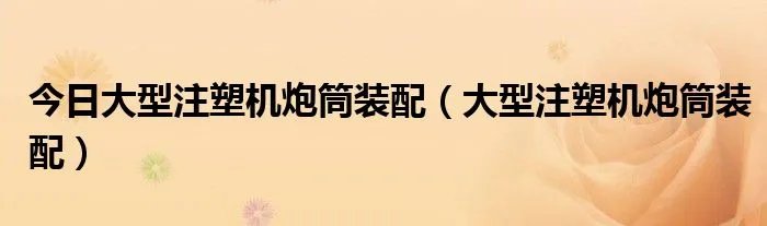 今日大型注塑机炮筒装配（大型注塑机炮筒装配）